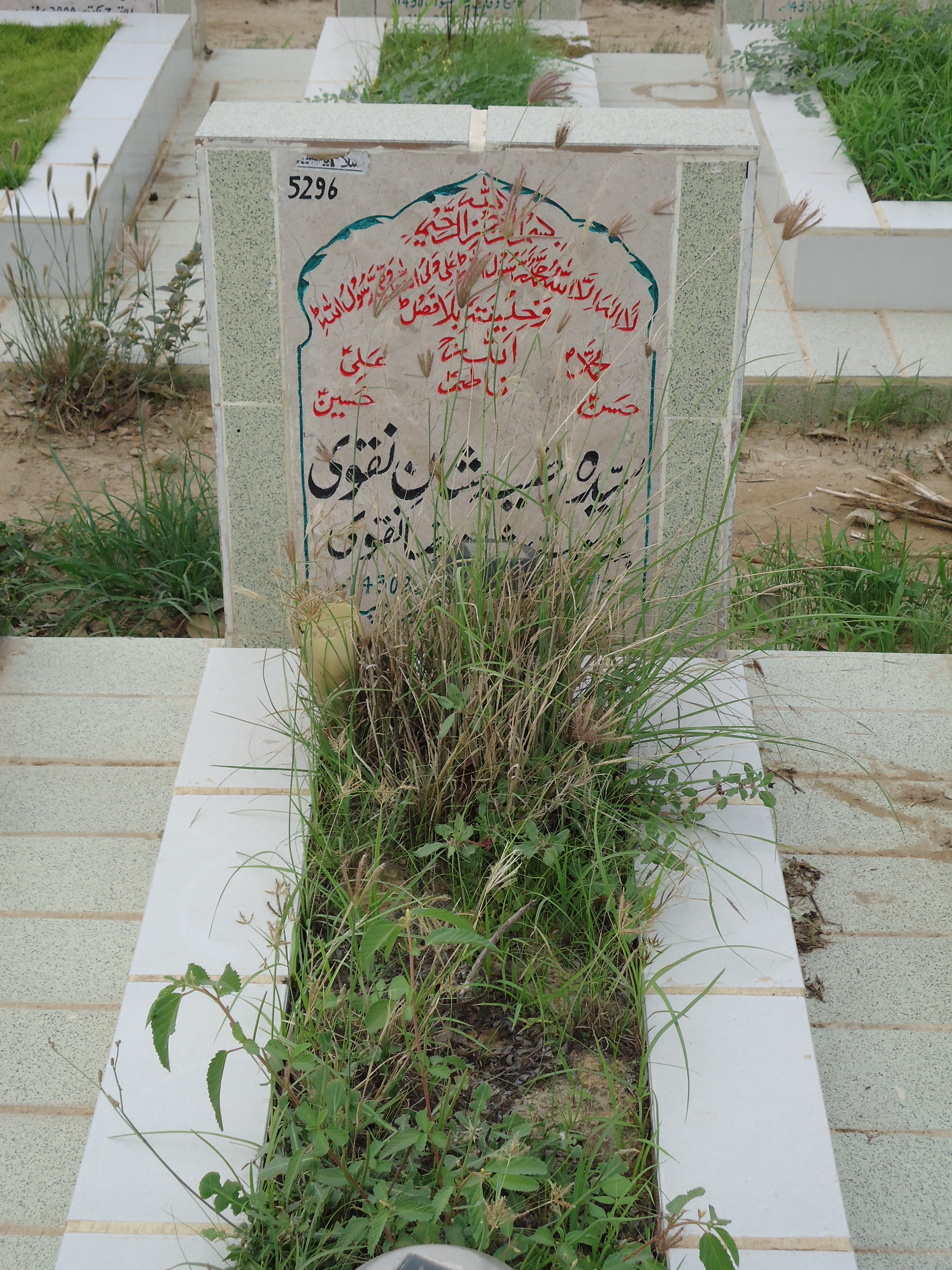 5296 – Syeda Razia Shan Naqvi